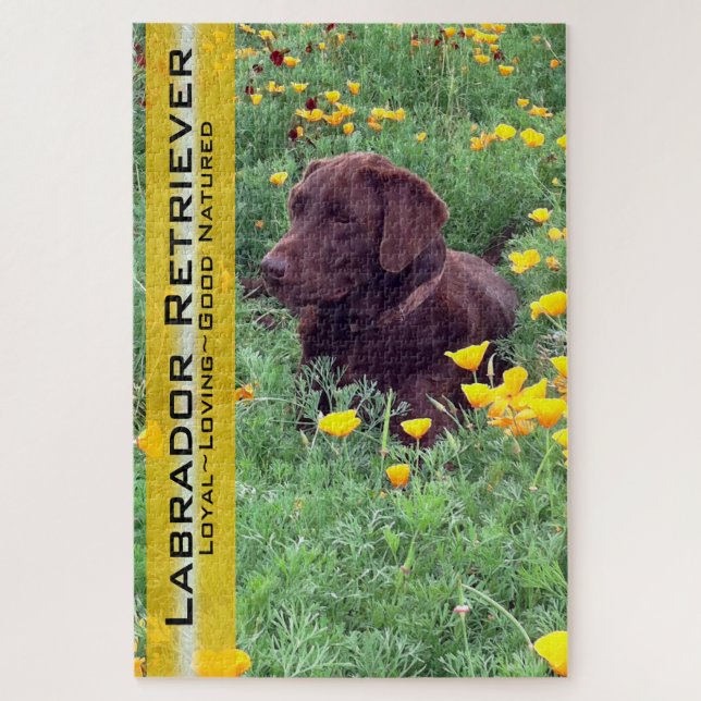 Chocolate Lab in California Poppy Patch Jigsaw Puzzle (Vertical)