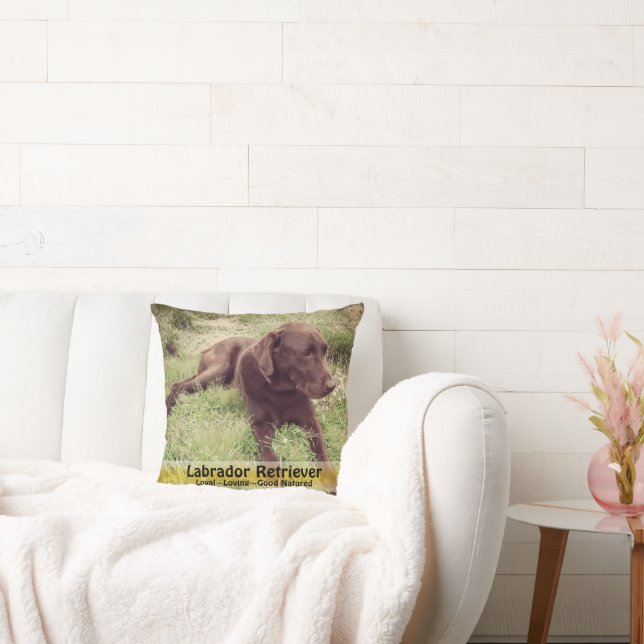 Chocolate Lab in California Poppy Patch Photograph Cushion (Couch)