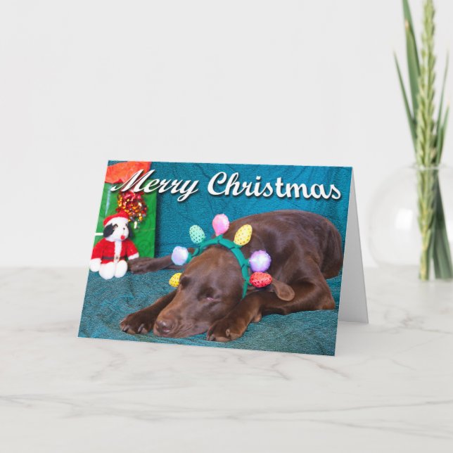 Chocolate Lab In Costume Photo Custom Inside Text Holiday Card (Front)