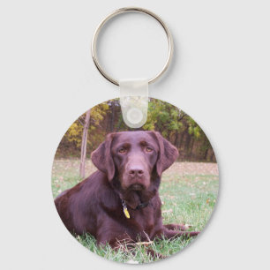 Chocolate Lab Key Ring