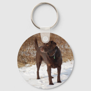 Chocolate Lab Keychain