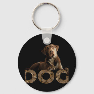 Chocolate Lab Laying Lounging on the word DOG Key Ring