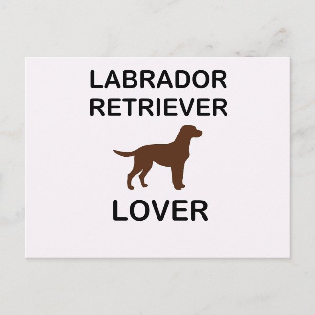 chocolate lab lover postcard (Front)