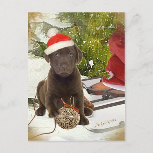 Chocolate Lab Loves Christmas Cards (Front)