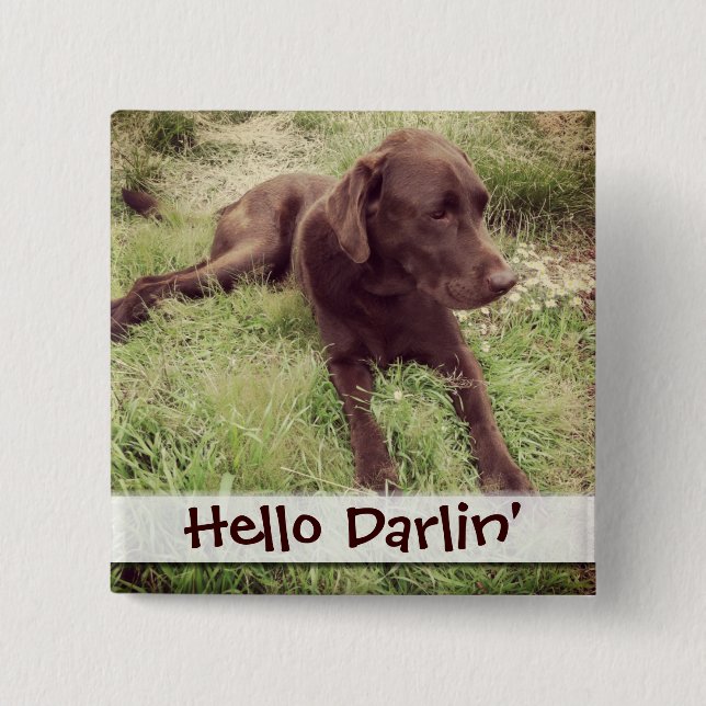 Chocolate Lab Lying In Grass Photograph 15 Cm Square Badge (Front)