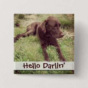 Chocolate Lab Lying In Grass Photograph 15 Cm Square Badge