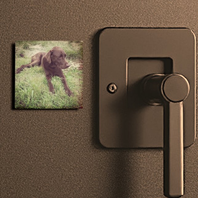 Chocolate Lab Lying In Grass Photograph Magnet (2" square magnet)