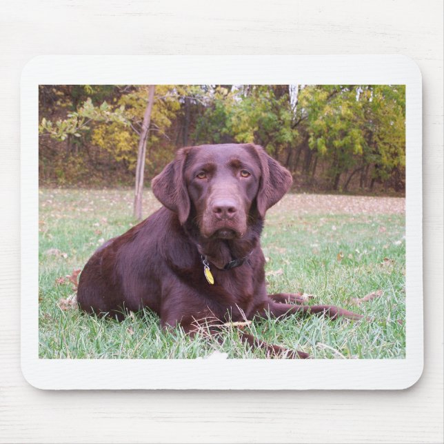 Chocolate Lab Mouse Pad (Front)