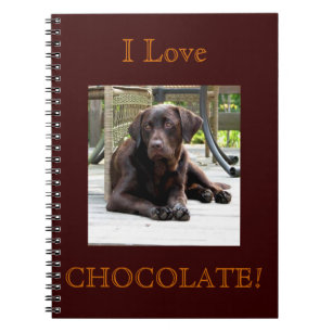 Chocolate Lab Notebook