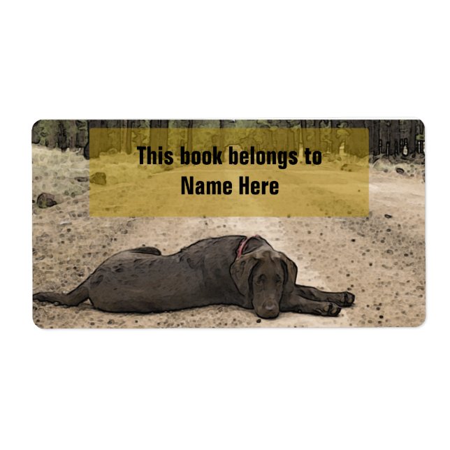 Chocolate Lab On A Forest Trail (Front)