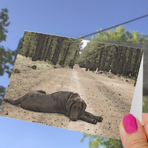Chocolate Lab On A Forest Trail Card