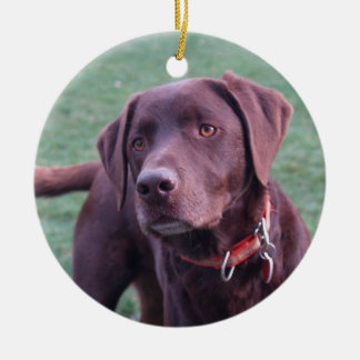 Chocolate Lab Ornament