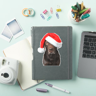 Chocolate Lab Picture Santa Hat Cute Dog Christmas