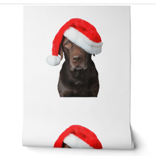 Chocolate Lab Picture Santa Hat Cute Dog Christmas Wallpaper
