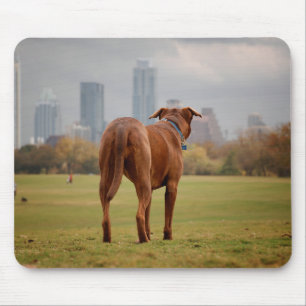 Chocolate Lab Pit Mix Dog - Austin TX Mouse Pad