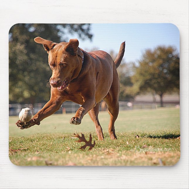 Chocolate Lab Pit Mix Dog Chasing Ball Mouse Pad (Front)