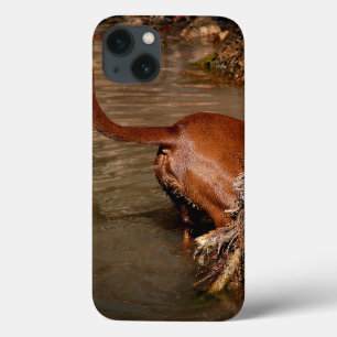 Chocolate Lab Pit Mix Dog Digging iPhone 13 Case