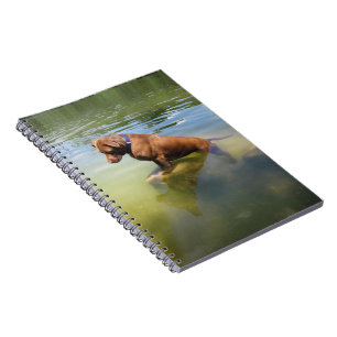 Chocolate Lab Pit Mix Dog Fishing 4 Notebook