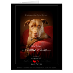 Chocolate Lab Pit Mix Dog Movie Poster