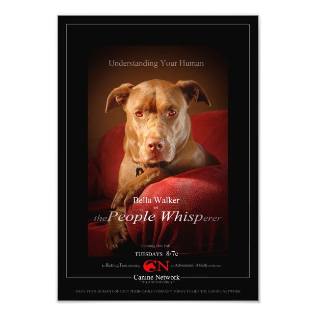 Chocolate Lab Pit Mix Dog Movie Poster (Front)