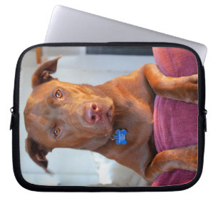 Chocolate Lab Pit Mix Dog Portrait Laptop Sleeve