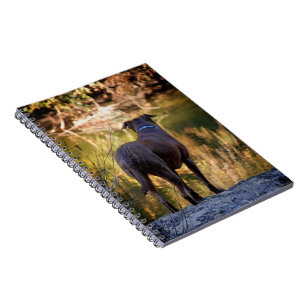 Chocolate Lab Pit Mix Dog Serene Notebook