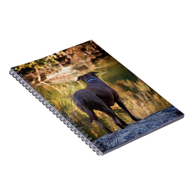 Chocolate Lab Pit Mix Dog Serene Notebook (Right Side)
