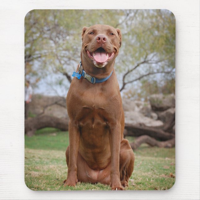 Chocolate Lab Pit Mix Dog Smiling 2 Mouse Pad (Front)