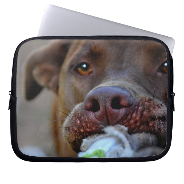 Chocolate Lab Pit Puppy Tugging Laptop Sleeve (Front)