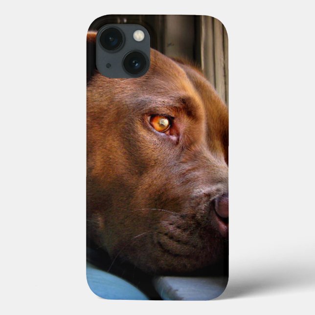 Chocolate Lab Pit Puppy Window Watching Case-Mate iPhone Case (Back)