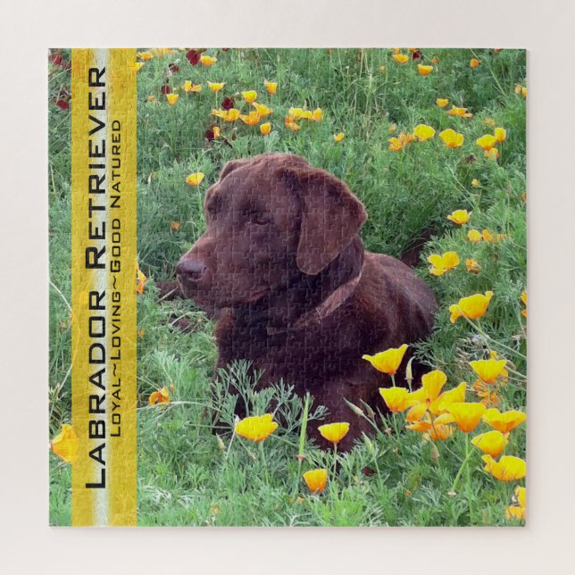 Chocolate Lab Portrait California Poppies Template Jigsaw Puzzle (Vertical)