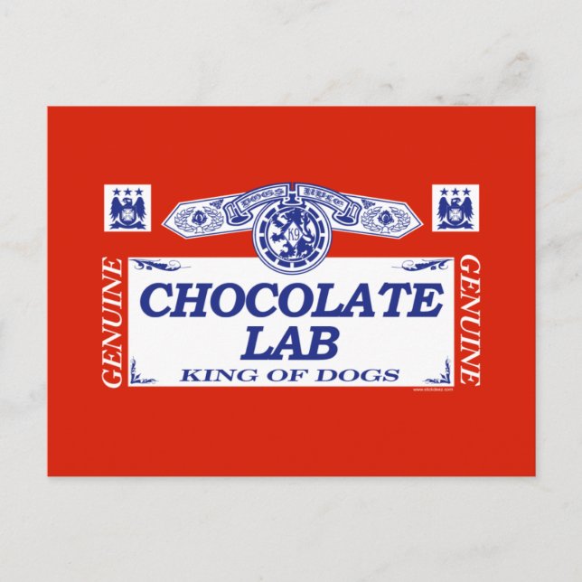 Chocolate Lab Postcard (Front)