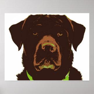 Chocolate Lab Poster