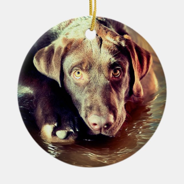 Chocolate Lab Puppy Ceramic Ornament (Front)