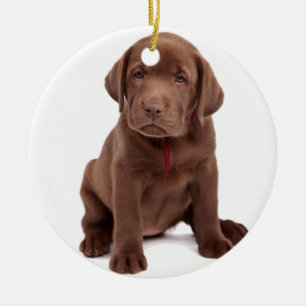 Chocolate Lab Puppy Ceramic Tree Decoration