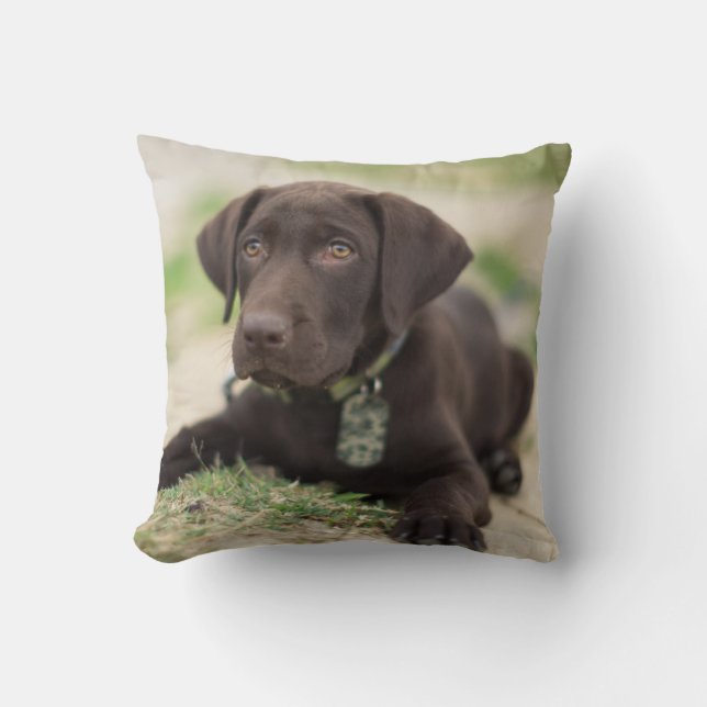 Chocolate Lab Puppy Cushion (Front)