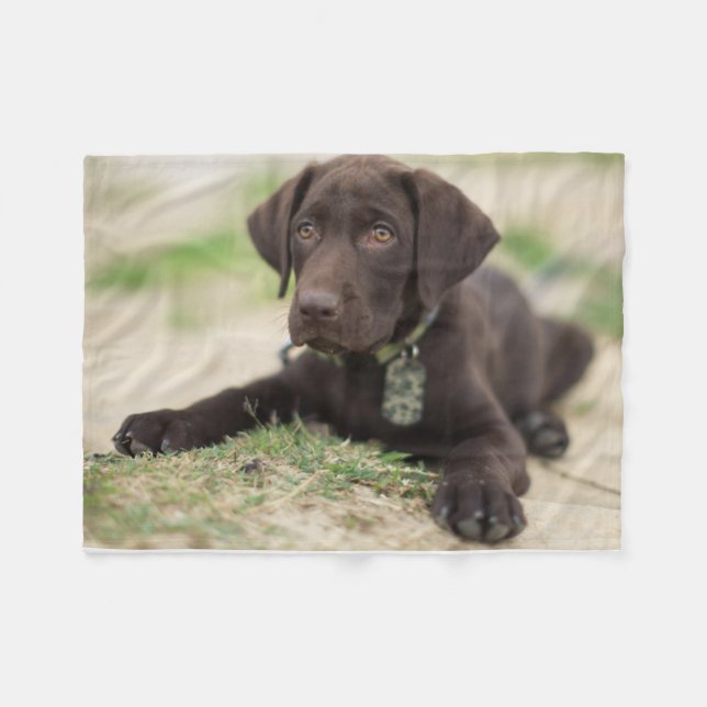 Chocolate Lab Puppy Fleece Blanket (Front (Horizontal))