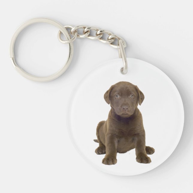 Chocolate Lab Puppy Key Ring (Front)