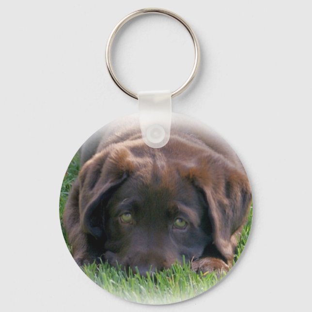 Chocolate Lab Puppy Key Ring (Front)