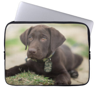 Chocolate Lab Puppy Laptop Sleeve