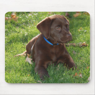 Chocolate Lab Puppy Mouse Pad