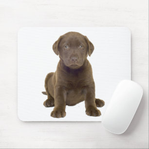 Chocolate Lab Puppy Mouse Pad