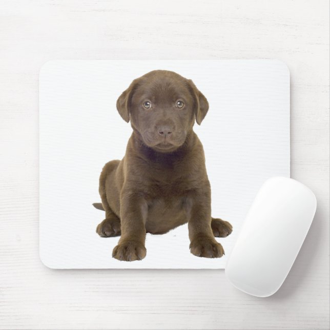 Chocolate Lab Puppy Mouse Pad (With Mouse)