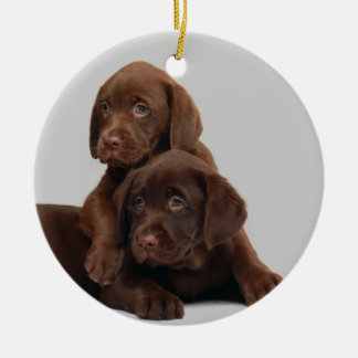 Chocolate Lab Puppy Ornament