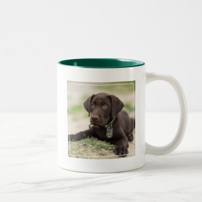 Chocolate Lab Puppy Two-Tone Coffee Mug (Right)
