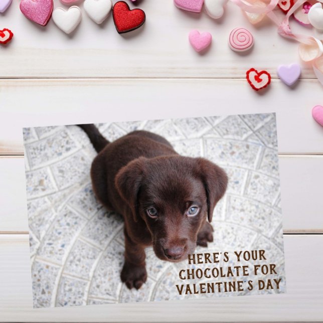 Chocolate Lab Puppy Valentine's Day Meme Card (Creator Uploaded)