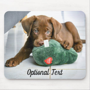 Chocolate Lab Puppy with a Toy Mouse Pad