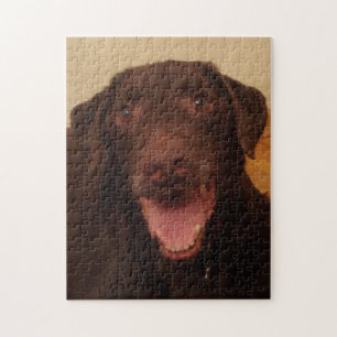 chocolate lab puzzle