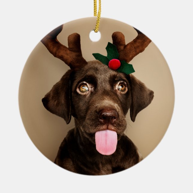 Chocolate Lab Reindeer Ceramic Ornament (Front)