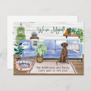 Chocolate Lab Retriever New Home Moving         Announcement Postcard